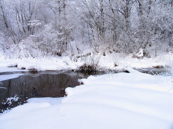 Петровское - речка зимой