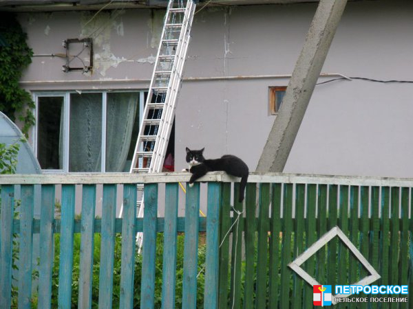 Ногово - наблюдатель