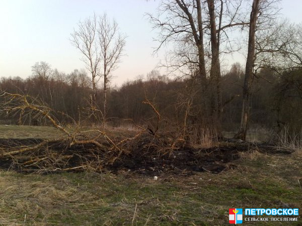 Упавшее дерево на лугу